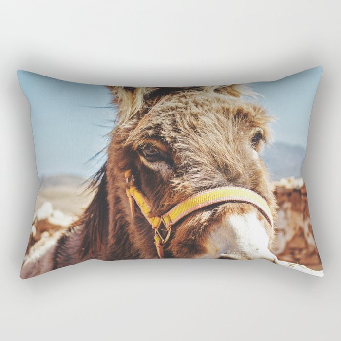 Rectangular Pillow