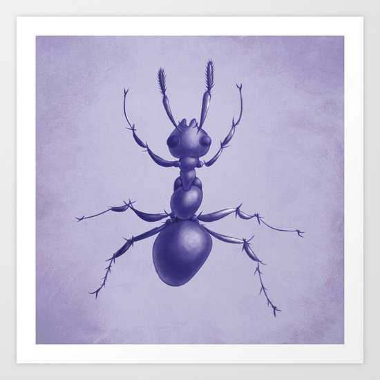 Purple Ant Art Print