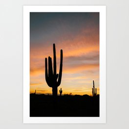 Arizona Sunset Art Print