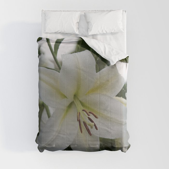 Splendid Flower Comforter