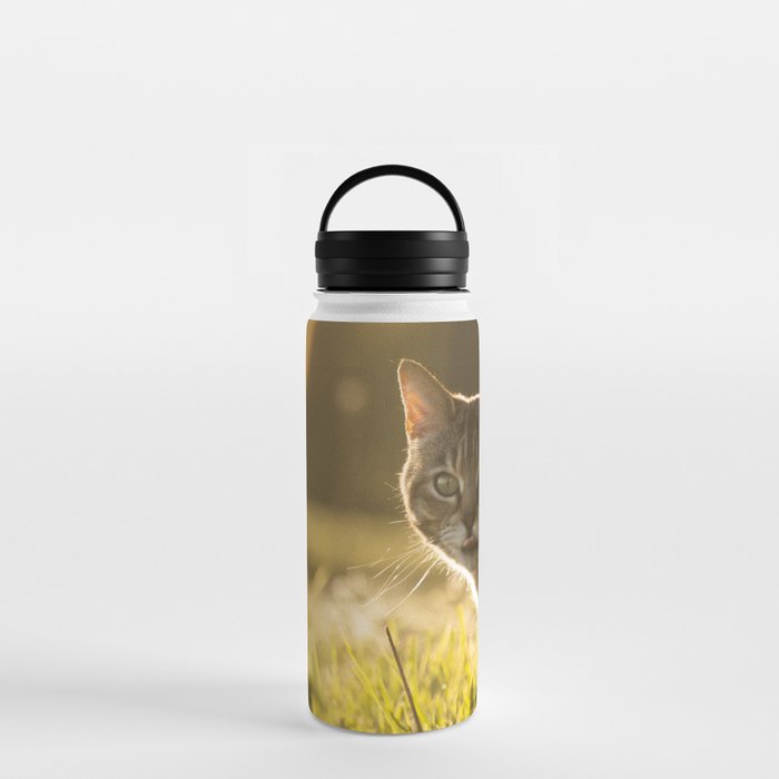 Tabby cat Water Bottle