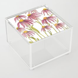 Wild Echinacea Blooms Acrylic Box