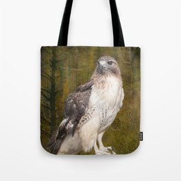 Red Tailed Hawk perched on a branch in the woodlands Tote Bag