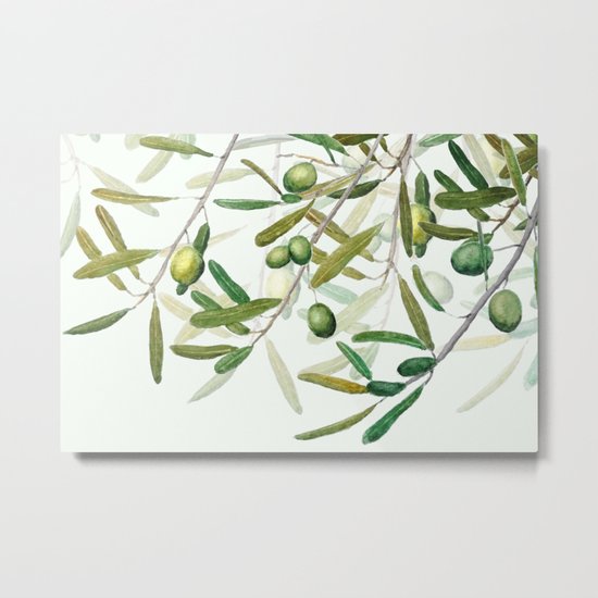 Green Olive watercolor painting Metal Print