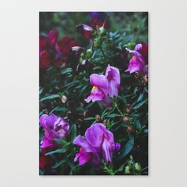 botanicals: mom's flowers Canvas Print