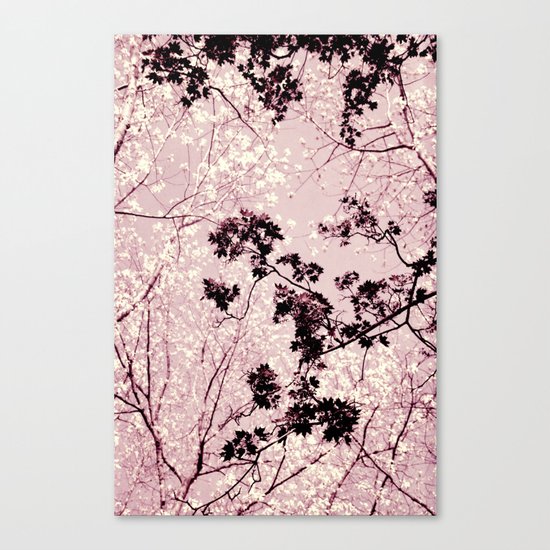 sky Canvas Print