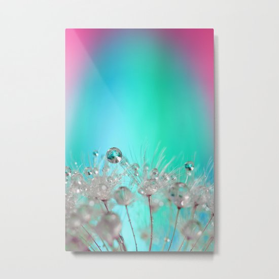 Rise Above it All - rainbow dandelion macro with droplets Metal Print