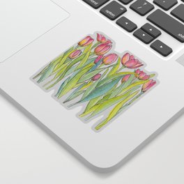 Pink Tulips Illustration Sticker