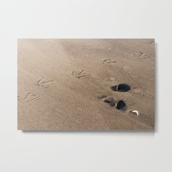 Who Goes There? Metal Print