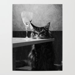 The Nightwatch Cat at the Absinthe bar black and white photograph / art photography Poster