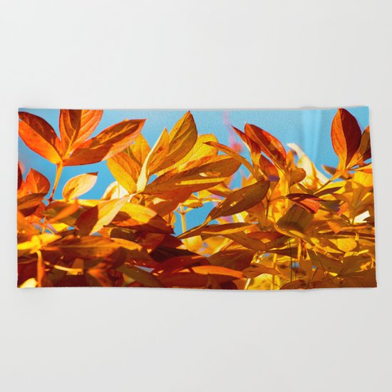 Autumn colors leaves against the blue sky Beach Towel