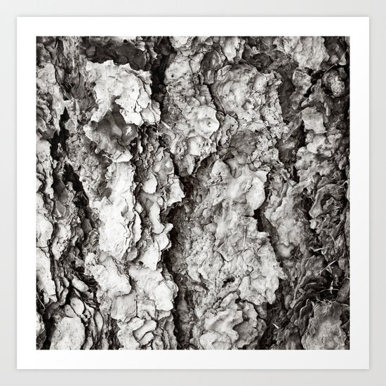 Wood Art Print