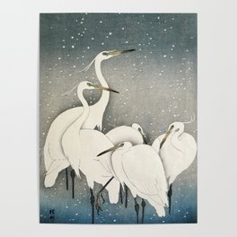 Group of Egrets, 1925-1936 by Ohara Koson Poster