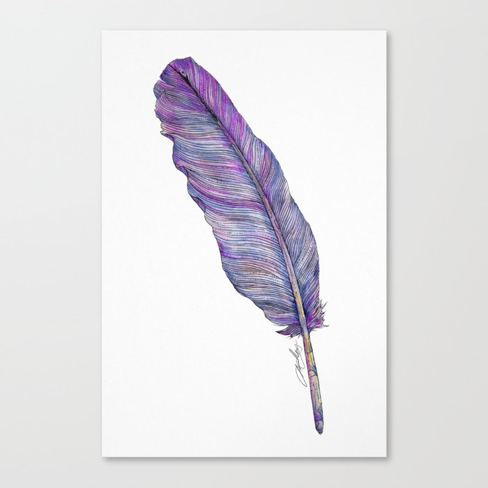 Cosmic Feather Canvas Print