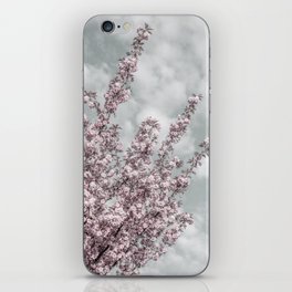 Cherry blossoms with sky view iPhone Skin