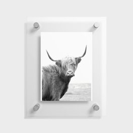 Highland Cow Floating Acrylic Print
