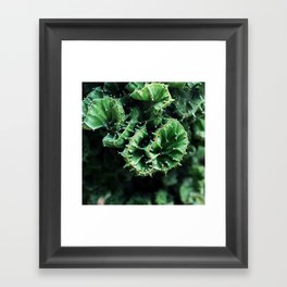 Emerald green Cactus Botanical Photography, Nature, Macro, Framed Art Print