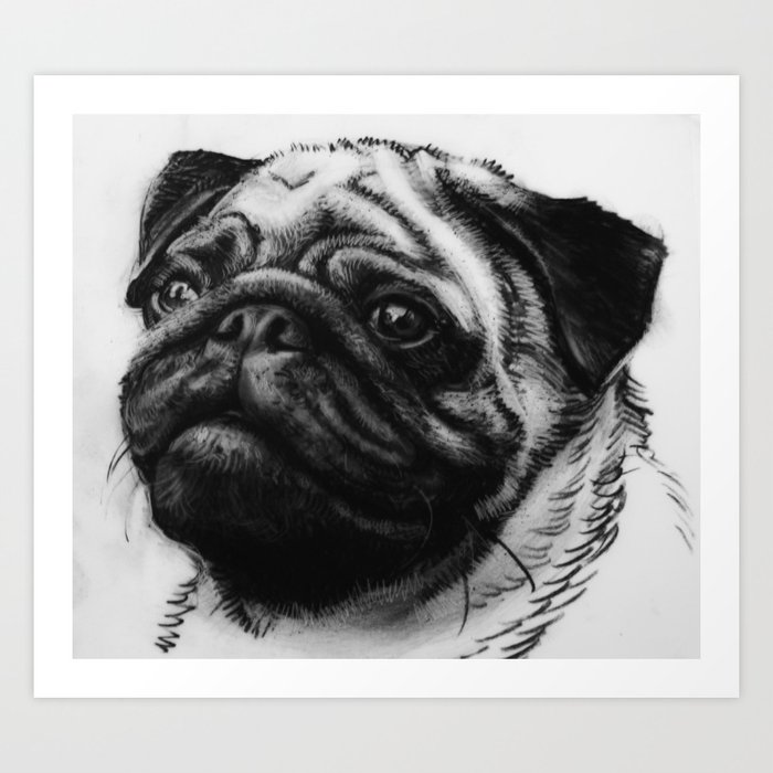 Pug Art Print