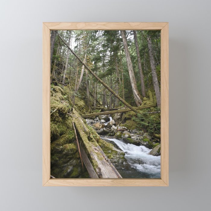 Mountain Creek River Forest Rainforest Landscape Pacific Northwest Washington Hiking Old Growth Geology Framed Mini Art Print