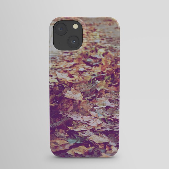Autumn Path iPhone Case