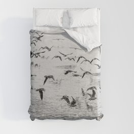 Seagulls in motion, black and white fine art image Comforter
