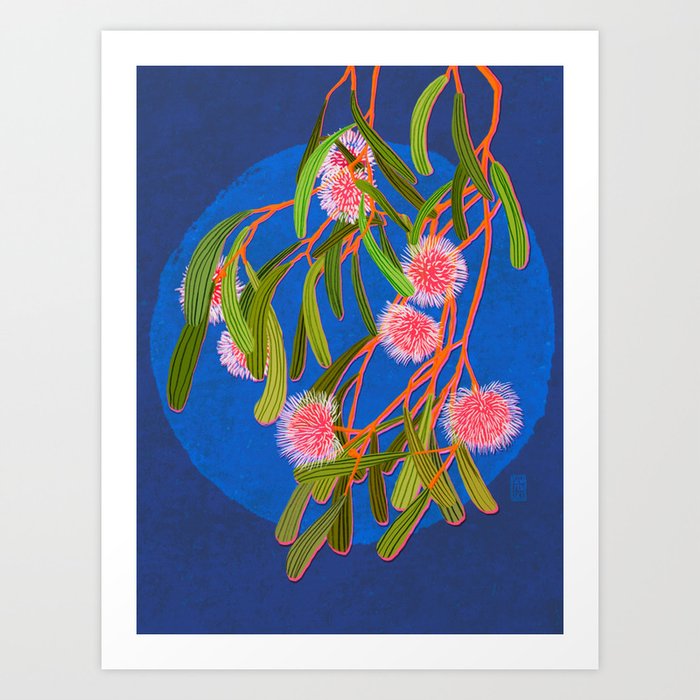 Pin Cushion Hakea Flowers Art Print