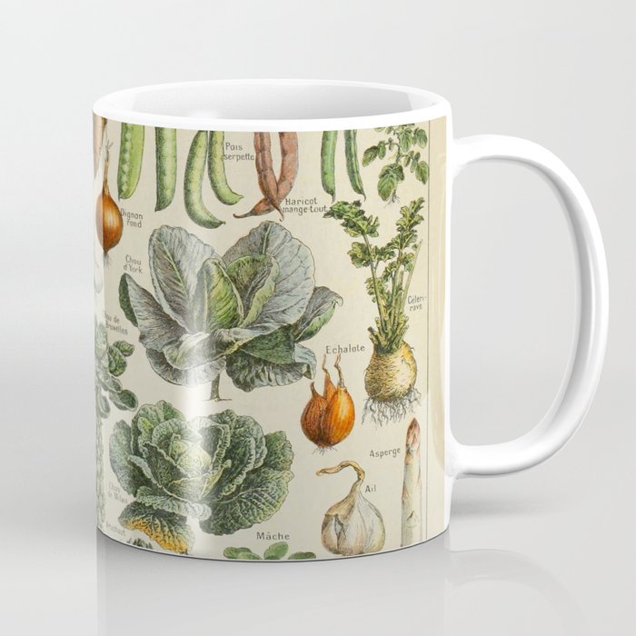 Vegetables Legumes Et Plantes Potageres Vintage Scientific Illustration French Language Encyclopedia Coffee Mug By Artofscience Society6
