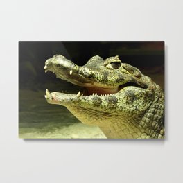 Friendly laughing crocodile Metal Print