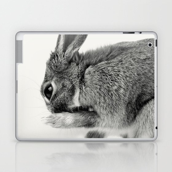 Rabbit Animal Photography Laptop & iPad Skin