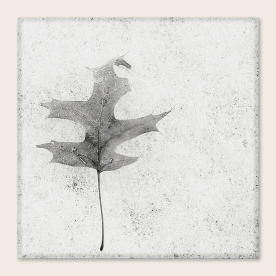 texture Canvas Print