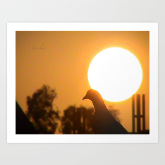 Pigeon Eclipse Art Print