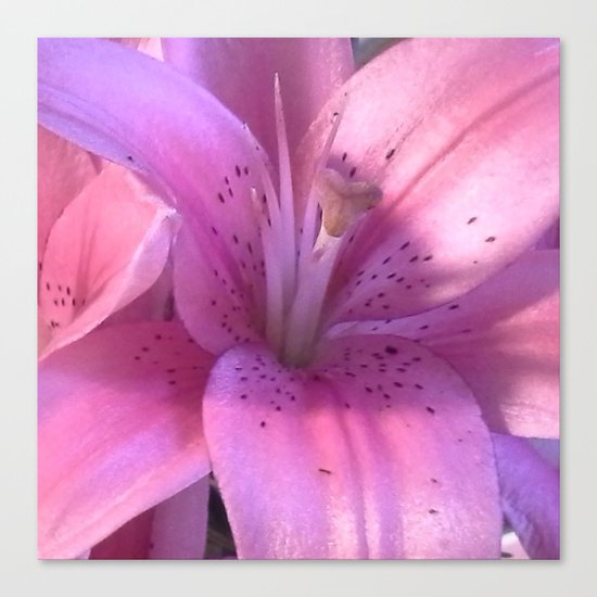 Lily: A Closeup Canvas Print