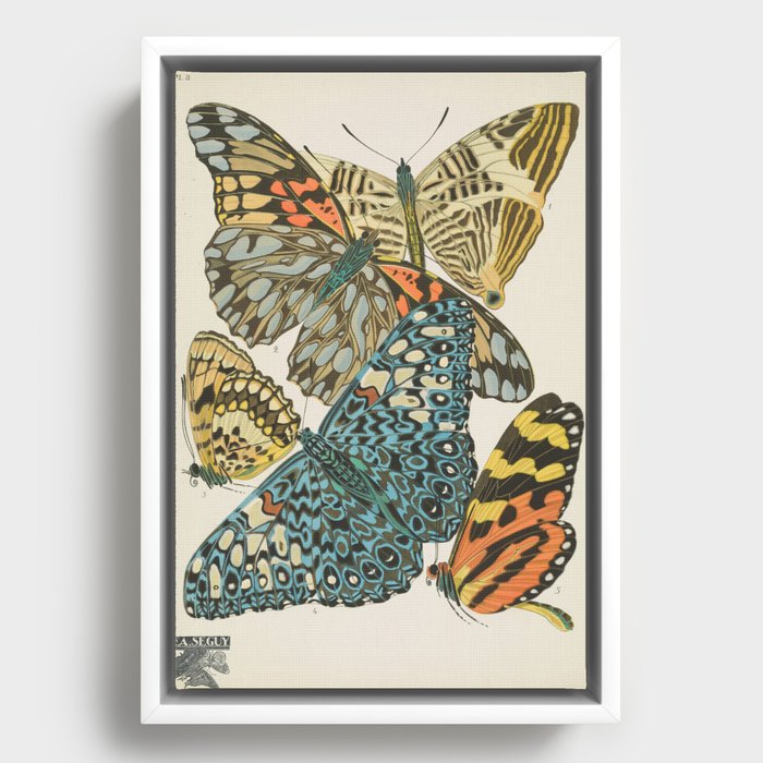 Framed Canvas
