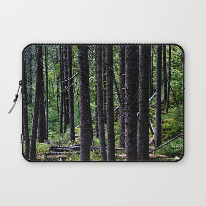 Maine Forest Photograph 4 Laptop Sleeve