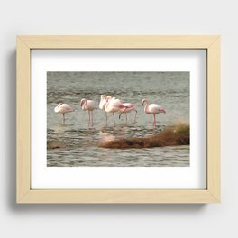 Six Flamingos Waterfowl Acrylic Art Recessed Framed Print