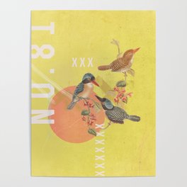 Vintage Bird Collage Poster