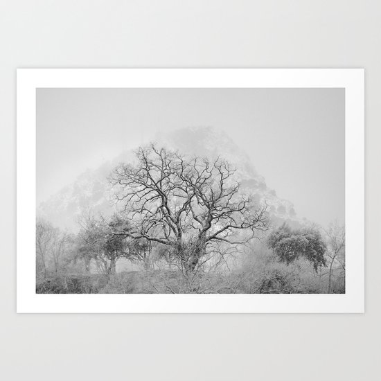 "King Mountain" Monochrome. Art Print