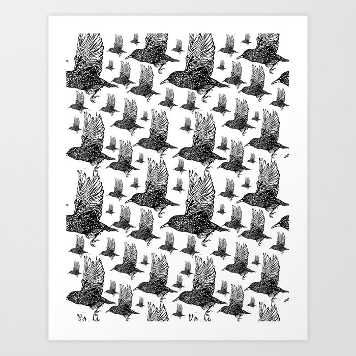 Flock of Starlings / Murmuration Art Print