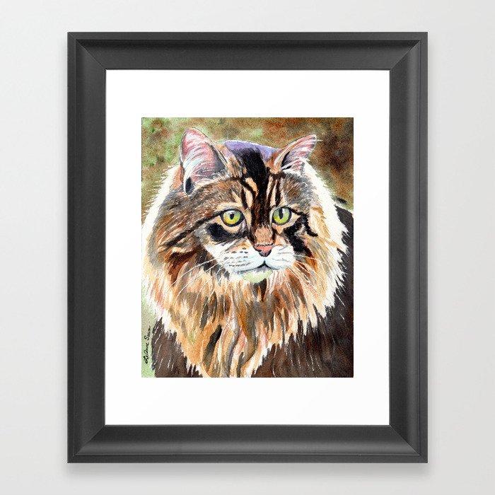 Maine Coon Cat Framed Art Print