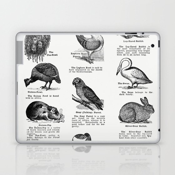 Bird Breeds Laptop & iPad Skin