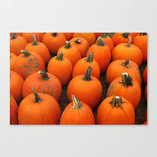Plenty of Pumpkins! Canvas Print