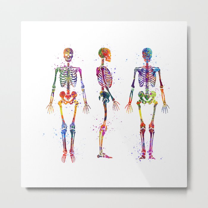 Human Skeleton Anatomy Art Medicine Art Colorful Watercolor Art Gift Biology Art Metal Print