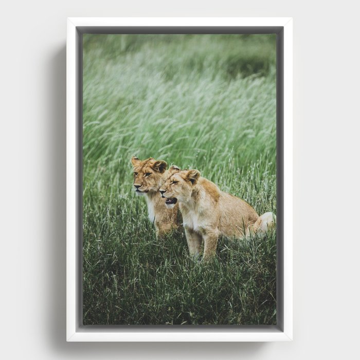 Serengeti National Park, Tanzania II Framed Canvas