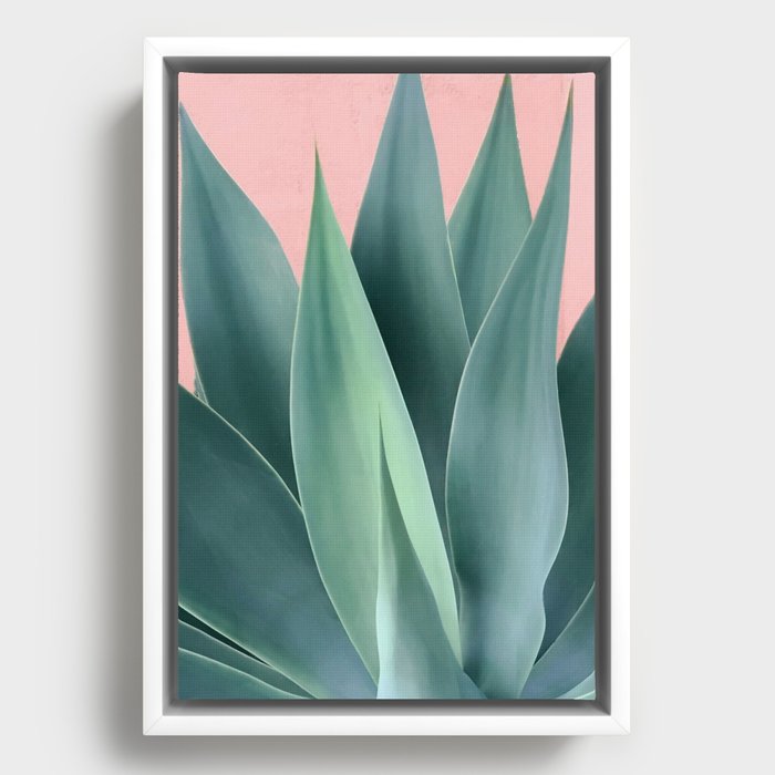 Framed Canvas