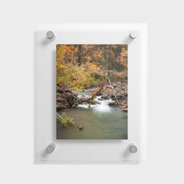 Fall Colors And Falling Water Creek Cascades Floating Acrylic Print