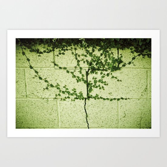 Ivy Wall Art Print
