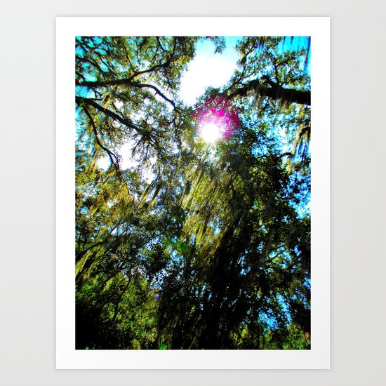 Moss Art Print