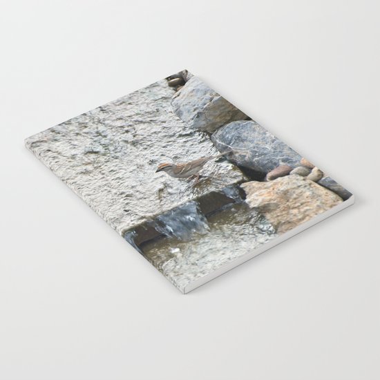 Water (Chipping Sparrow) Notebook