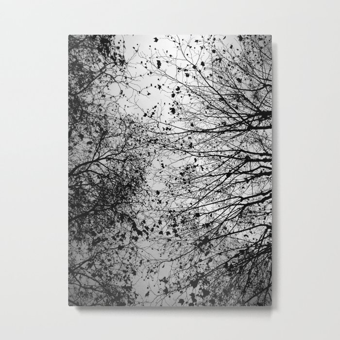 Branches & Leaves Metal Print