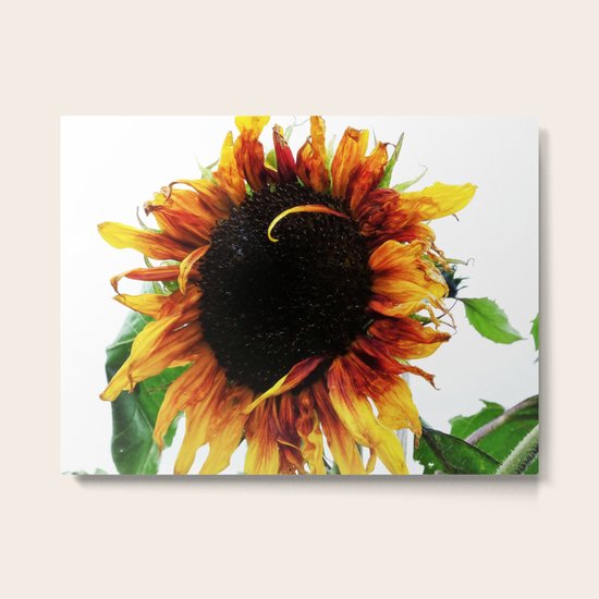 Bed Head Metal Print